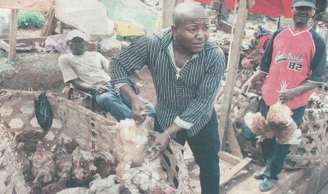 L’harmonisation du prix des poulets et des œufs sur le marché national 